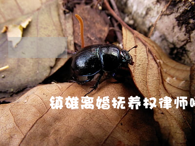 镇雄离婚抚养权律师哪家好(镇雄最好的律师)