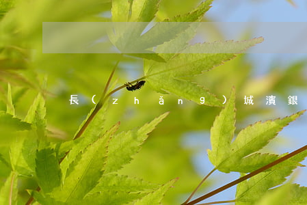 長(zhǎng)城濱銀還款逾期一天