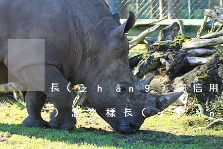 長(zhǎng)安信用卡逾期會(huì)怎么樣(長(zhǎng)安信用卡逾期會(huì)怎么樣)