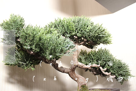 長(zhǎng)安貸款車逾期了怎么辦(長(zhǎng)城金融汽車貸款逾期一個(gè)月)