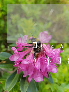 長(zhǎng)寧區(qū)債務(wù)律師事務(wù)所-上海長(zhǎng)寧區(qū)律師事務(wù)所電話號(hào)碼