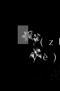 長(zhǎng)寧專(zhuān)業(yè)離婚調(diào)解律師(長(zhǎng)寧專(zhuān)業(yè)離婚調(diào)解律師)