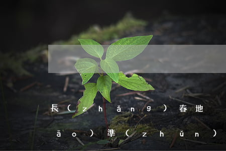 長(zhǎng)春地稅逾期處罰標(biāo)準(zhǔn)-長(zhǎng)春地稅逾期處罰標(biāo)準(zhǔn)表