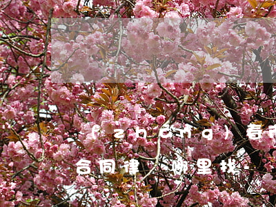 長(zhǎng)春市可靠的債務(wù)合同律師哪里找-長(zhǎng)春債務(wù)糾紛最有名的律師