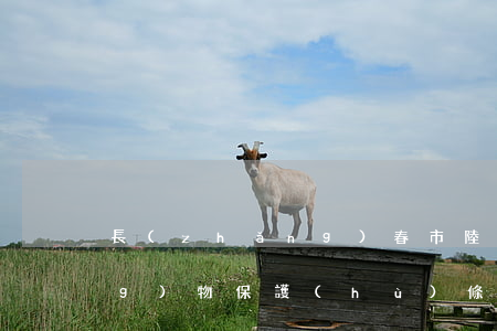 長(zhǎng)春市陸生野生動(dòng)物保護(hù)條例最新【全文】