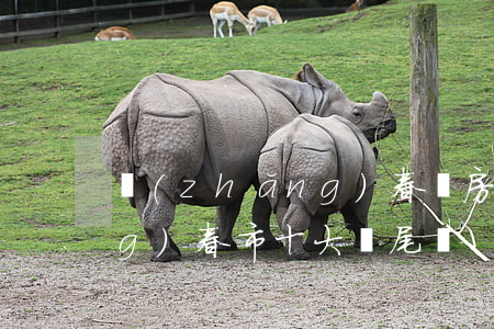 長(zhǎng)春樓房坍塌(長(zhǎng)春市十大爛尾樓)