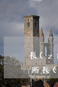 長(zhǎng)春盈科律師事務(wù)所(長(zhǎng)春盈科律師事務(wù)所劉雪瑩)