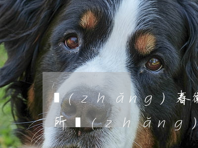 長(zhǎng)春衡豐律師事務(wù)所(長(zhǎng)春衡豐律師事務(wù)所怎么樣)