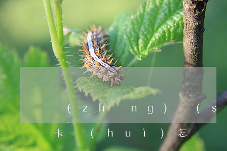 長(zhǎng)時(shí)間不還信用卡會(huì)怎樣(長(zhǎng)時(shí)間不還信用卡有什么后果)
