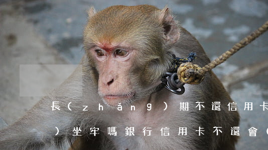 長(zhǎng)期不還信用卡會(huì)坐牢嗎(銀行信用卡不還會(huì)坐牢嗎)