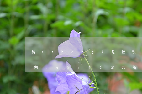 長(zhǎng)期出軌可以起訴離婚嗎(婚內(nèi)出軌起訴離婚多久可以判離)