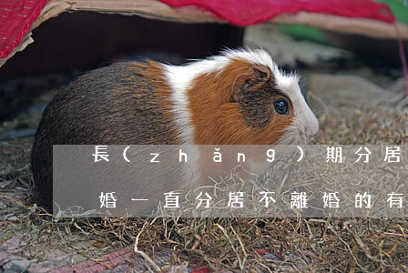 長(zhǎng)期分居的夫妻為什么不離婚(一直分居不離婚的有嗎)