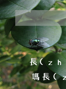 長(zhǎng)期分期還信用卡算是逾期嗎 長(zhǎng)期分期還信用卡算是逾期嗎