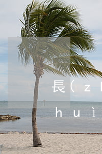 長(zhǎng)期逾期起訴(逾期太久會(huì)被起訴嗎)