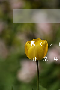 長(zhǎng)期遭他人騷擾恐嚇，已影響正常生活！