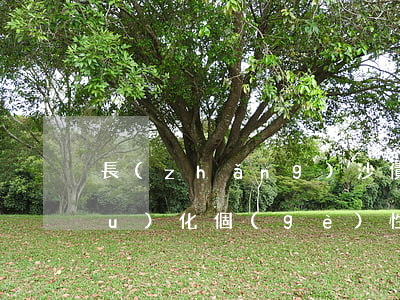 長(zhǎng)沙債務(wù)優(yōu)化個(gè)性化分期服務(wù)費(fèi)用-債務(wù)優(yōu)化怎么收費(fèi)