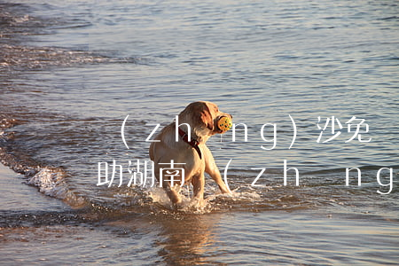 長(zhǎng)沙免費(fèi)法律援助(湖南長(zhǎng)沙法律援助熱線電話)