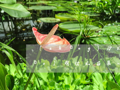 長(zhǎng)沙公司逾期納稅申報(bào)有什么后果-長(zhǎng)沙公司逾期納稅申報(bào)有什么后果嗎
