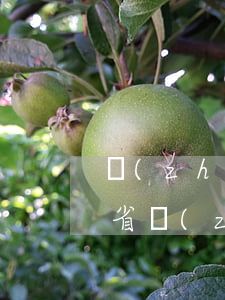 長(zhǎng)沙公安交通違章查詢(湖南省長(zhǎng)沙市違章查詢)