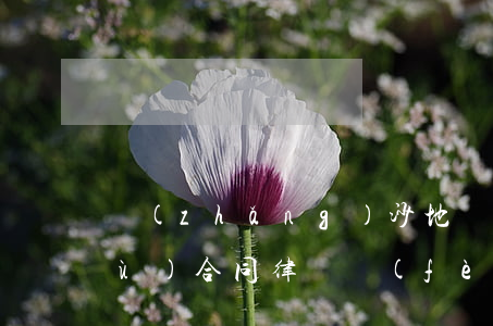 長(zhǎng)沙地區(qū)債務(wù)合同律師費(fèi)用標(biāo)準(zhǔn)(長(zhǎng)沙債務(wù)清欠律師)