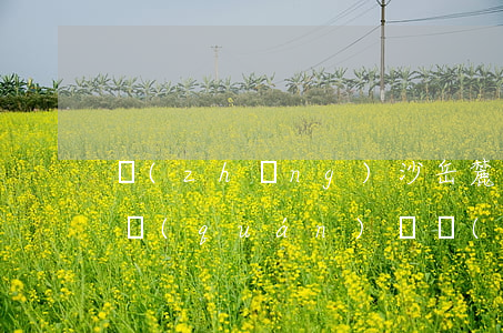 長(zhǎng)沙岳麓區(qū)專辦債權(quán)債務(wù)糾紛律師-長(zhǎng)沙債務(wù)糾紛律師事務(wù)所排名