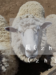 長(zhǎng)沙市法律援助中心在哪(長(zhǎng)沙市法律援助中心在哪)