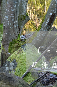 長(zhǎng)沙市網(wǎng)貸逾期停息分期怎么協(xié)商-湖南長(zhǎng)沙網(wǎng)貸催收
