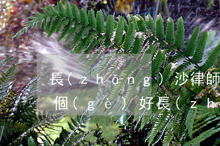 長(zhǎng)沙律師事務(wù)所哪個(gè)好(長(zhǎng)沙十大律師事務(wù)所排名及所名)
