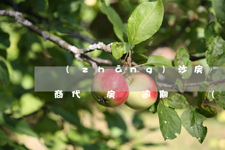 長(zhǎng)沙房貸逾期開發(fā)商代償(房貸逾期開發(fā)商代償后起訴業(yè)主)