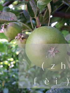 長(zhǎng)沙撫養(yǎng)費(fèi)標(biāo)準(zhǔn)是多少錢