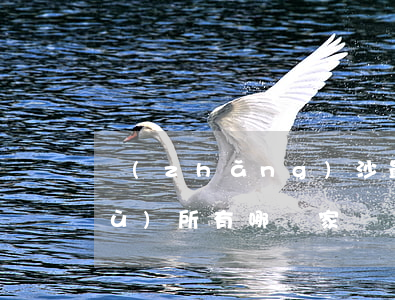 長(zhǎng)沙最有名的律師事務(wù)所有哪幾家