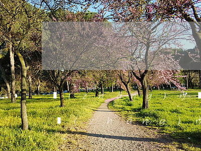 長(zhǎng)沙醫(yī)患糾紛律師(長(zhǎng)沙醫(yī)療糾紛調(diào)解中心)