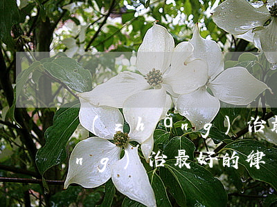 長(zhǎng)治最好的律師(長(zhǎng)治最好的律師事務(wù)所是哪家)