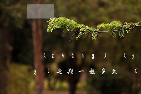 長(zhǎng)運(yùn)網(wǎng)逾期一般多久 長(zhǎng)運(yùn)網(wǎng)逾期一般多久