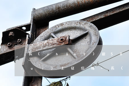 長(zhǎng)銀58逾期一兩天會(huì)上征信嗎-長(zhǎng)銀58逾期一兩天會(huì)上征信嗎