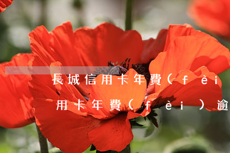 長城信用卡年費(fèi)逾期呆賬(長城信用卡年費(fèi)逾期呆賬)