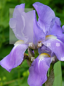 長城銀聯(lián)白金信用卡還款逾期四天(長城銀聯(lián)白金信用卡還款逾期四天)