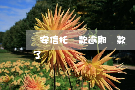 長安信托貸款逾期還款(長安信托車貸還不起了)