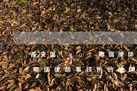 長安區(qū)哪個律師事務所比較好(長興哪個律師事務所的律師好一些)