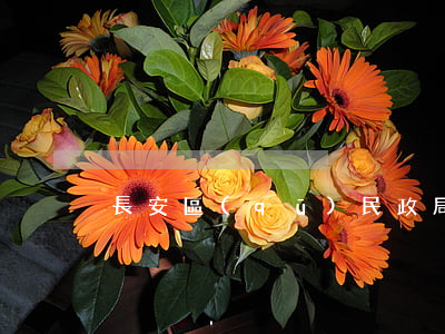 長安區(qū)民政局離婚手續(xù)