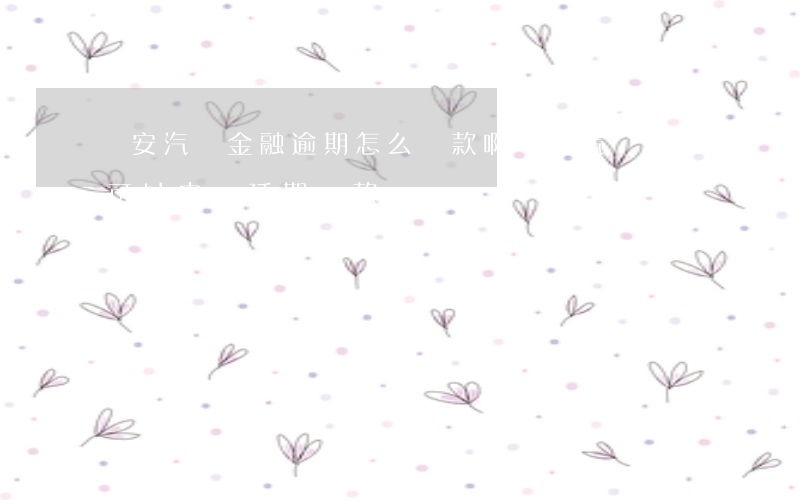 長安汽車金融逾期怎么還款啊(長安汽車金融可以申請延期還款)