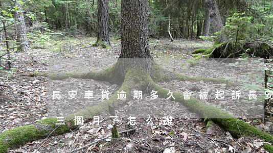 長安車貸逾期多久會被起訴 長安車貸逾期快三個月了怎么辦