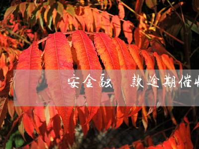 長安金融貸款逾期催收函(銀行貸款催收通知書)