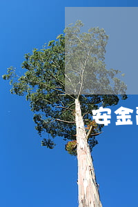 長安金融貸款逾期扣車(長安金融幾點扣車貸)