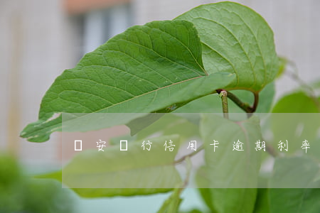 長安銀行信用卡逾期利率(長安金融逾期)
