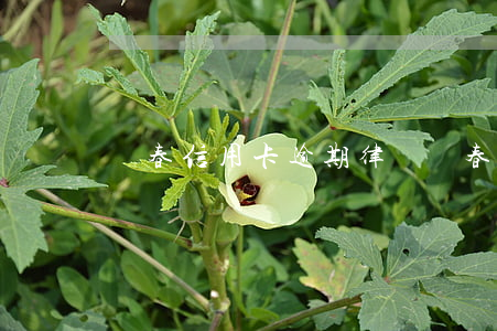 長春信用卡逾期律師(長春律師咨詢)