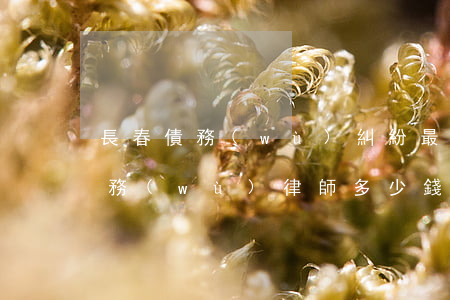 長春債務(wù)糾紛最有名的律師（長春債務(wù)律師多少錢）