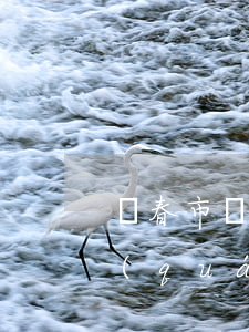 長春市債務(wù)律師哪里找(長春市債權(quán)債務(wù)律師)