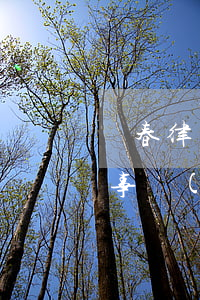 長春律師事務(wù)所(北京盈科長春律師事務(wù)所)