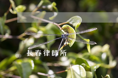 長春律師所